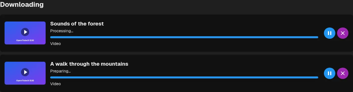 Downloads showing Preparing and Processing